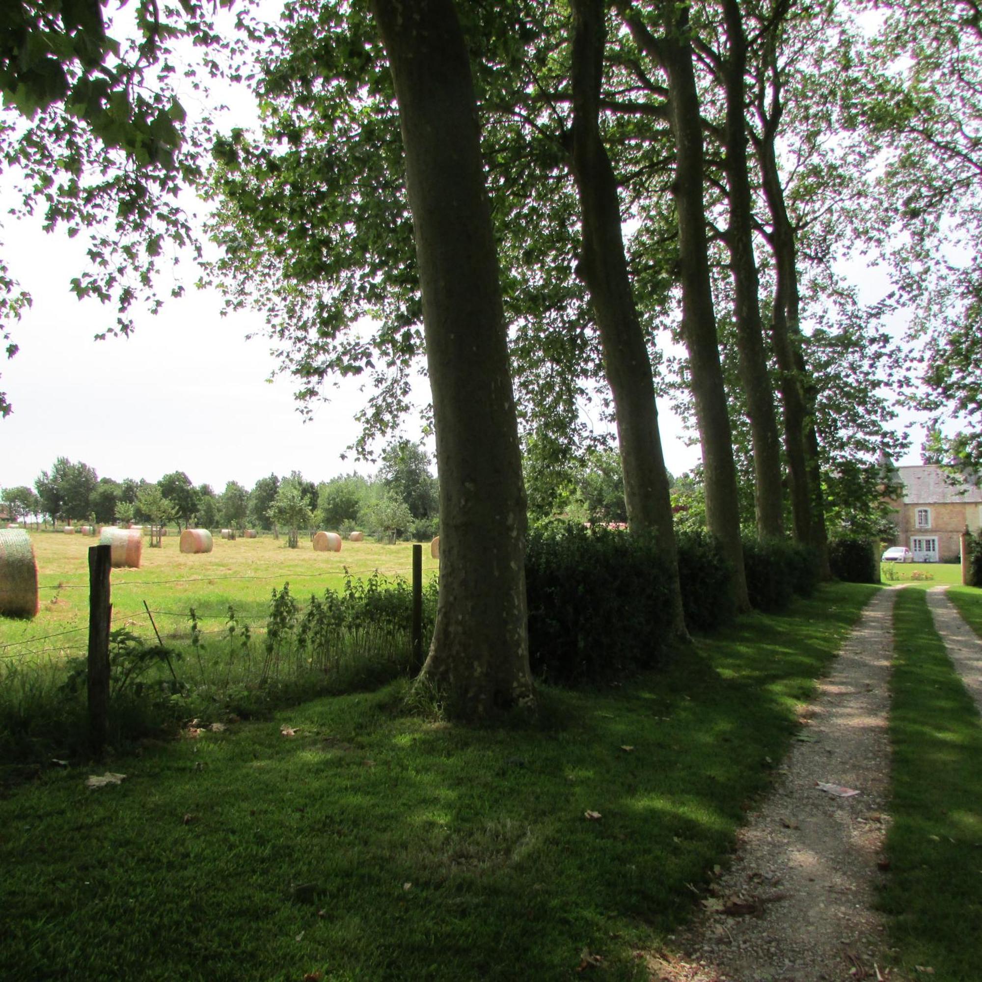 Gite Manoir Les Camps Greslins Questrecques Luaran gambar